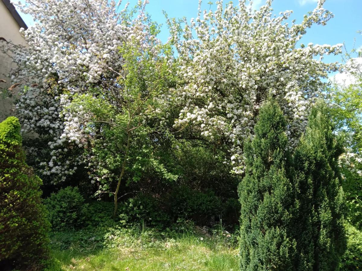 Vakantie Boerderij De Boerenzwaluw Karl Dış mekan fotoğraf