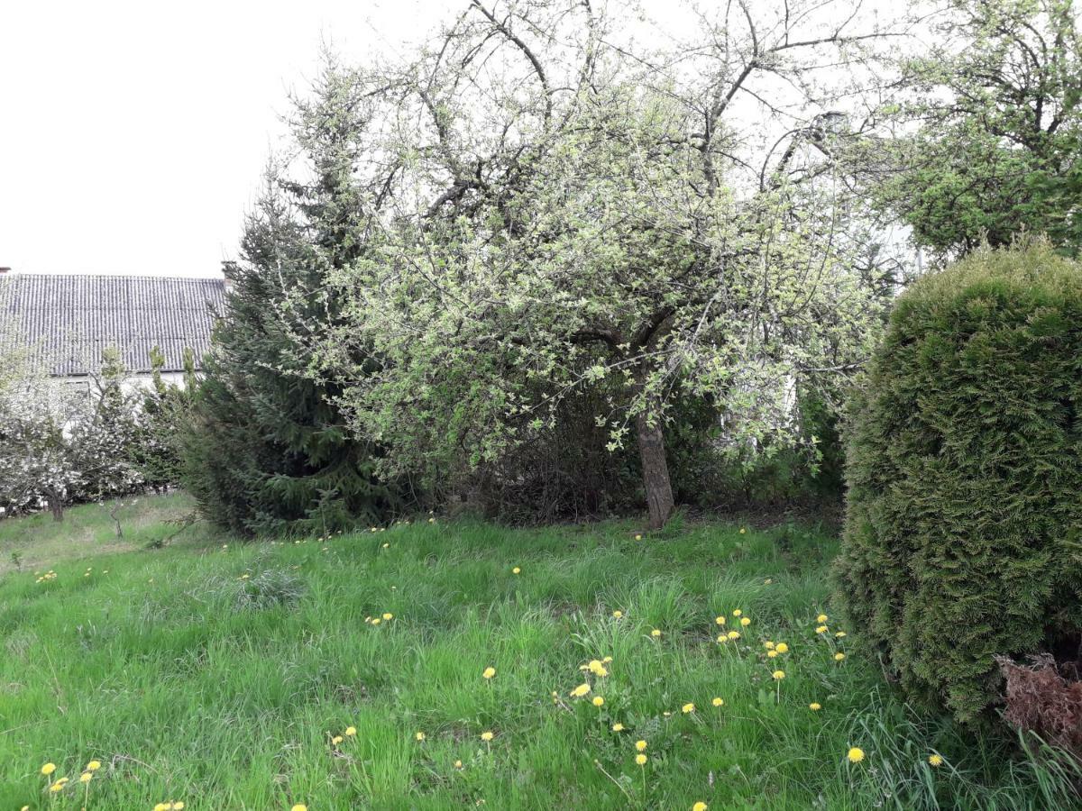 Vakantie Boerderij De Boerenzwaluw Karl Dış mekan fotoğraf
